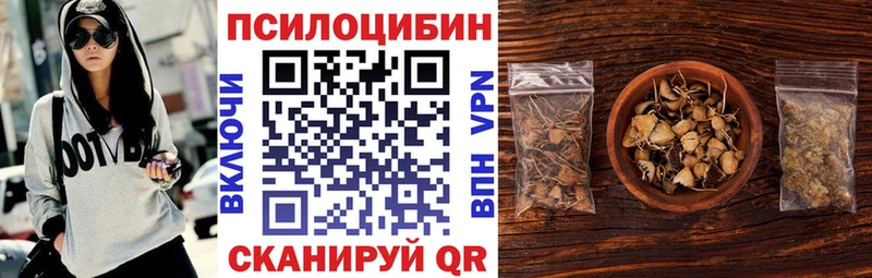 ОМГ ОМГ ТОР  Тула  Псилоцибиновые грибы Cubensis 