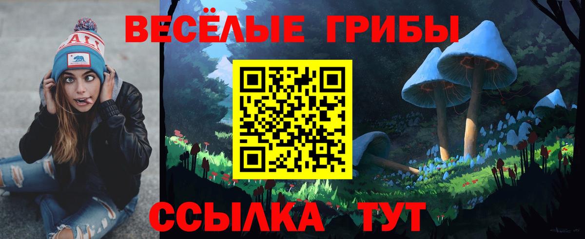 Галлюциногенные грибы Cubensis Тула