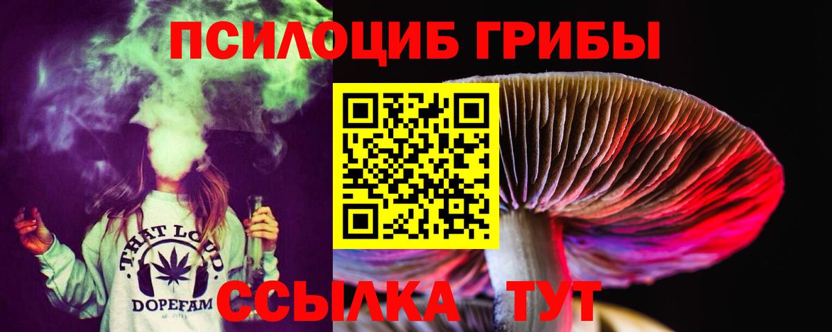 Тула  Галлюциногенные грибы GOLDEN TEACHER  Вход с VPN 